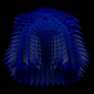 Blue Spikey Coat