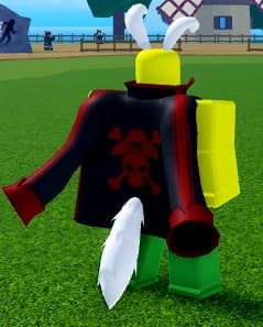 Coat
