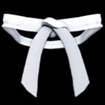 Dojo Belt (White)