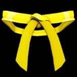 Dojo Belt (Yellow)