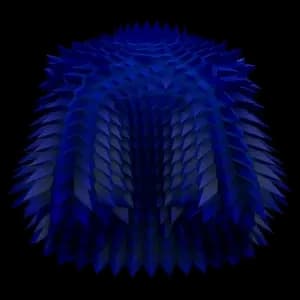 Blue Spikey Coat